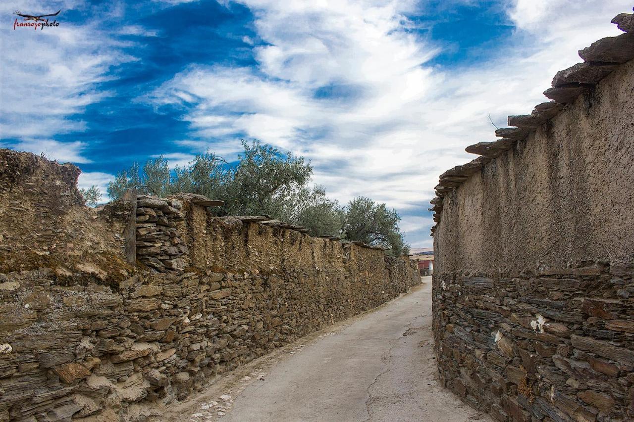 Casa Rural Julio Vegas Santiago Del Campo Εξωτερικό φωτογραφία