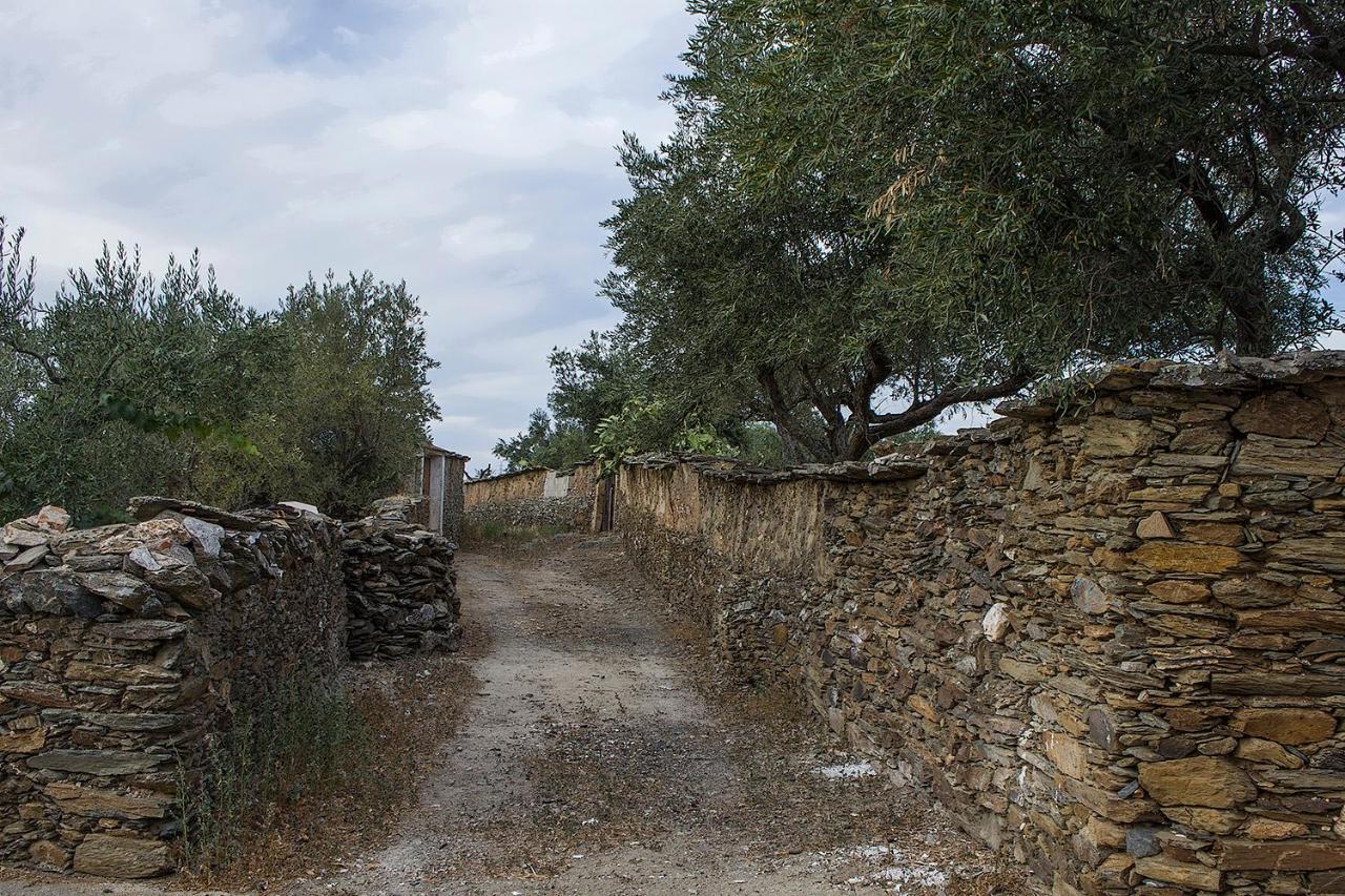 Casa Rural Julio Vegas Santiago Del Campo Εξωτερικό φωτογραφία